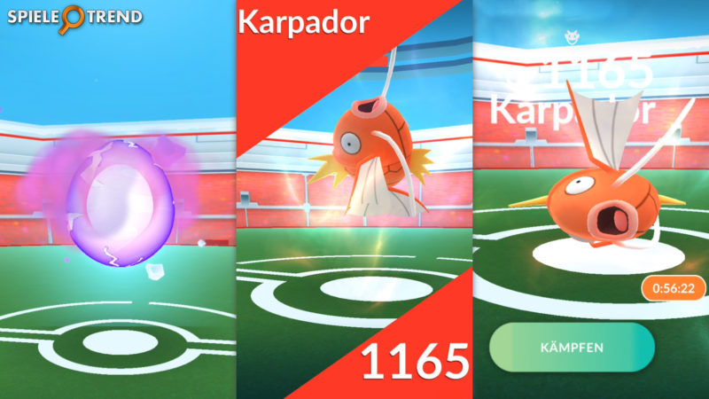 Karpador-Pokémon im Raid