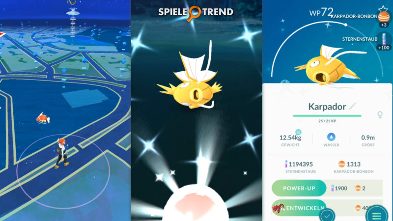 Pokémon GO Shiny Karpador zu Ostern