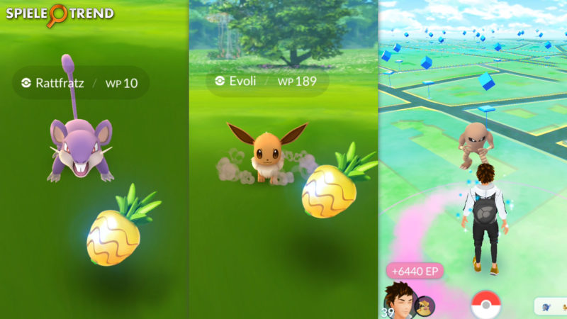 Pokémon GO Sananabeere im Osterevent