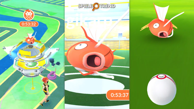 Pokémon GO Raids mit Karpador