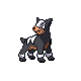 Pokémon Pokédex Nummer 228 Hunduster