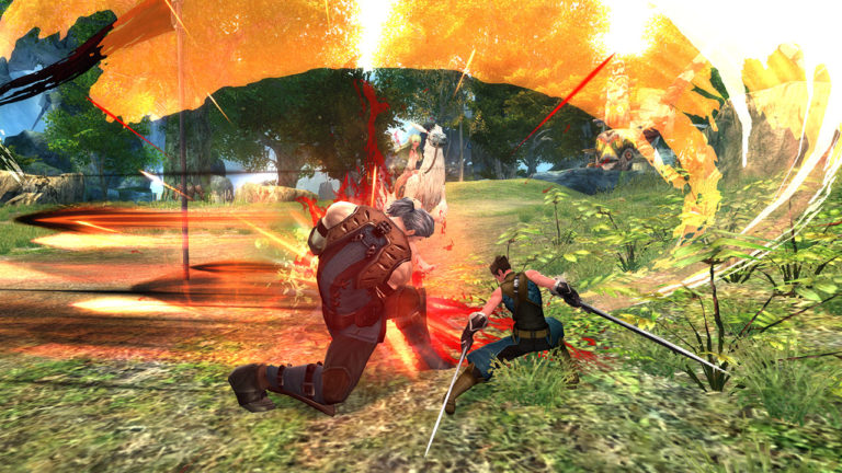 echo of soul berserker guide echo of soul berserker guide